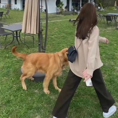 主要音调